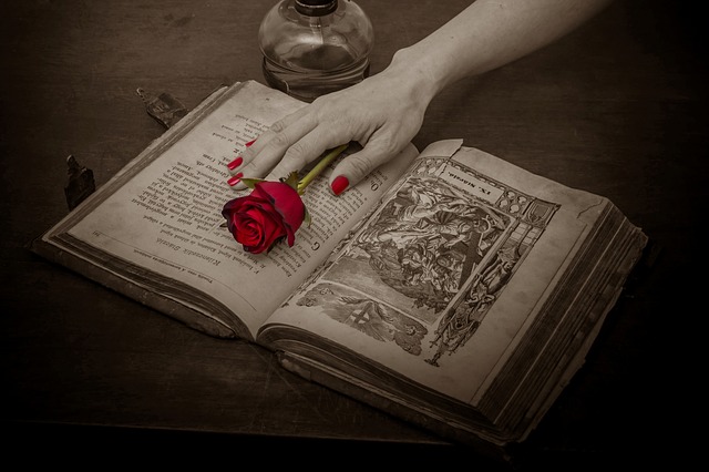 modlitební kniha a růže